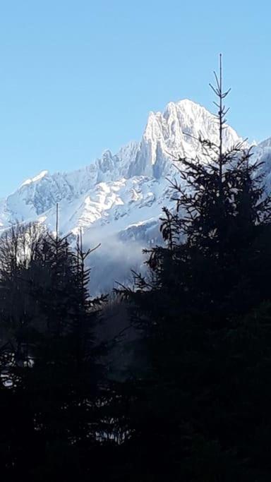 Chalet Les Charmilles - Vallee De Chamonix - 5 Chambres Les Houches Exterior photo